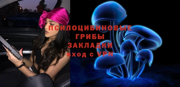 стафф Бронницы
