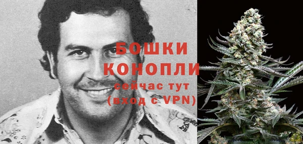 МДМА Бородино
