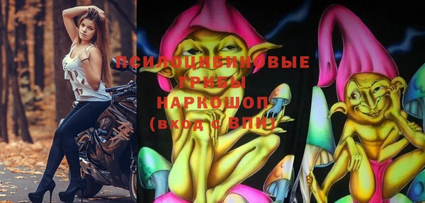стафф Бронницы