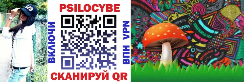 Псилоцибиновые грибы мицелий  Купить закладки  Спас-Деменск 